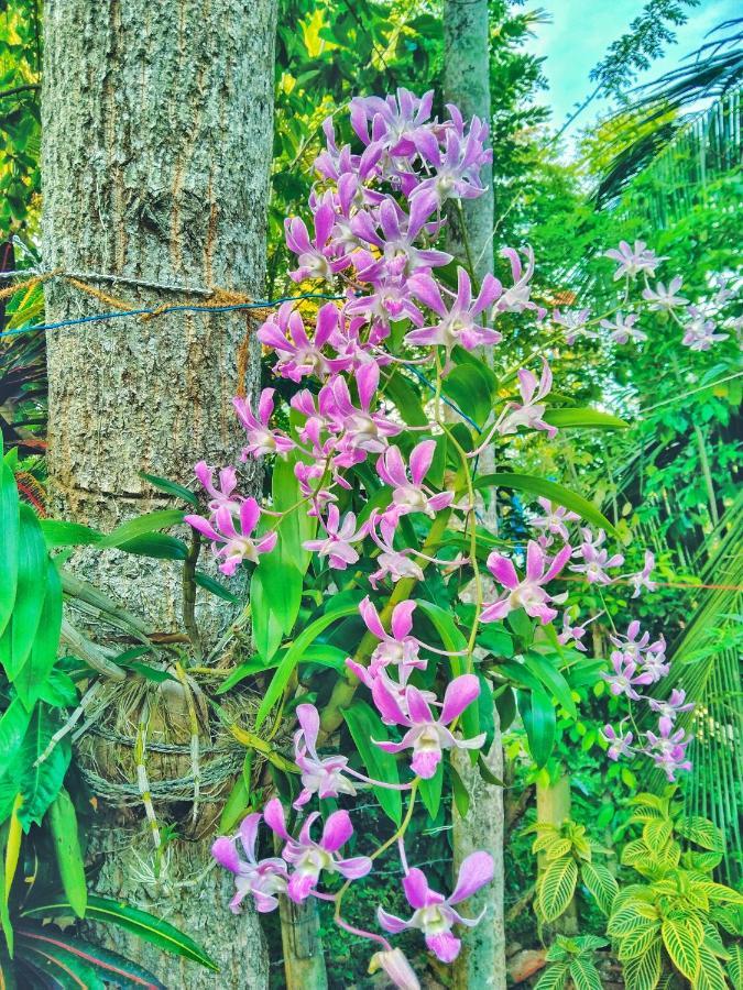 Ameena Homestay 坦加拉 外观 照片